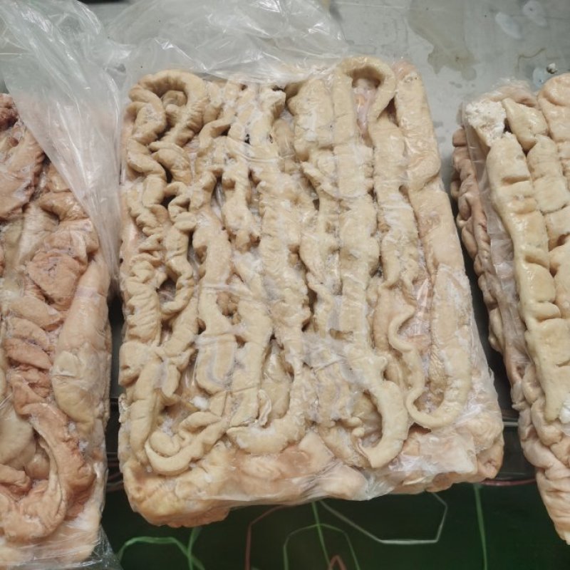 精品大肠