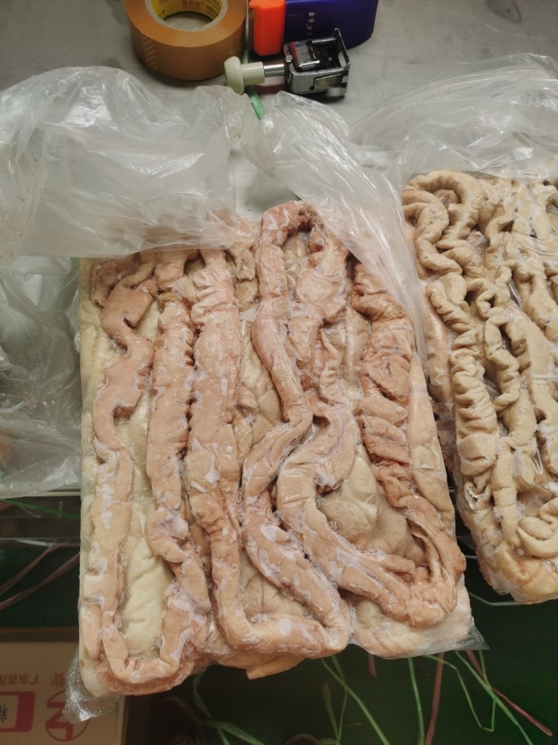 精品大肠