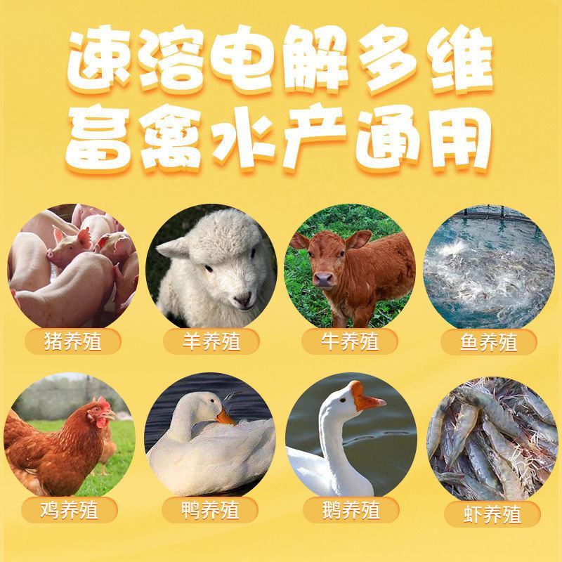 兽用电解多维猪用兔牛羊高钙维生素禽用小鸡鸭鹅饲料添加剂增