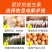 兽用电解多维猪用兔牛羊高钙维生素禽用小鸡鸭鹅饲料添加剂增