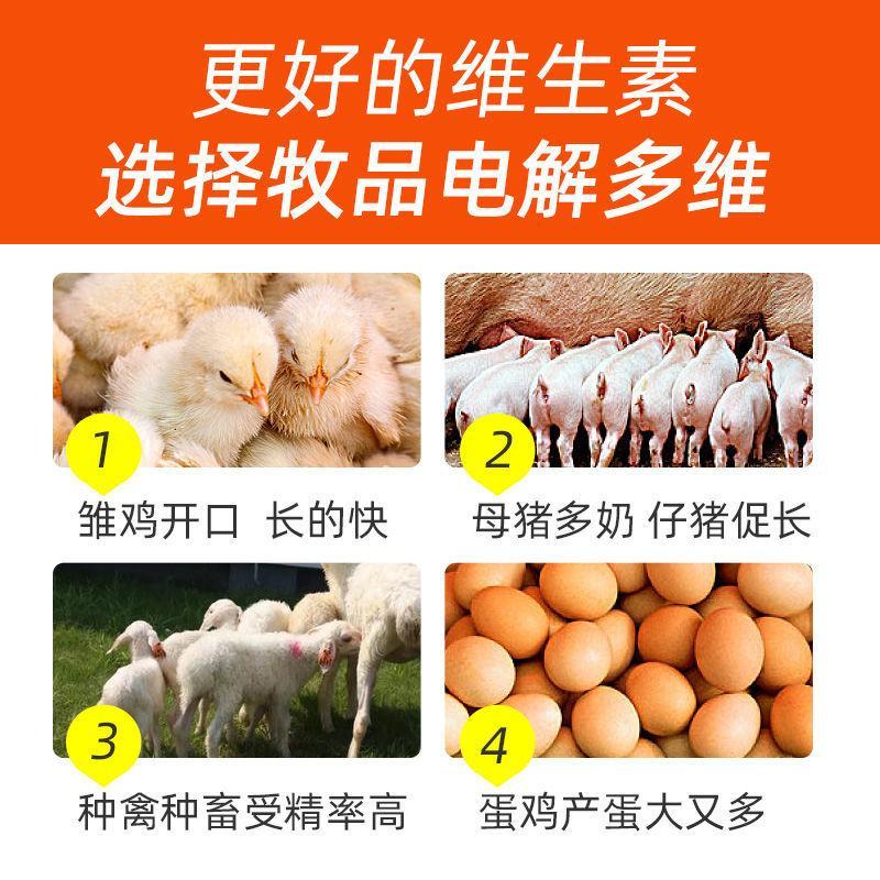 兽用电解多维猪用兔牛羊高钙维生素禽用小鸡鸭鹅饲料添加剂增