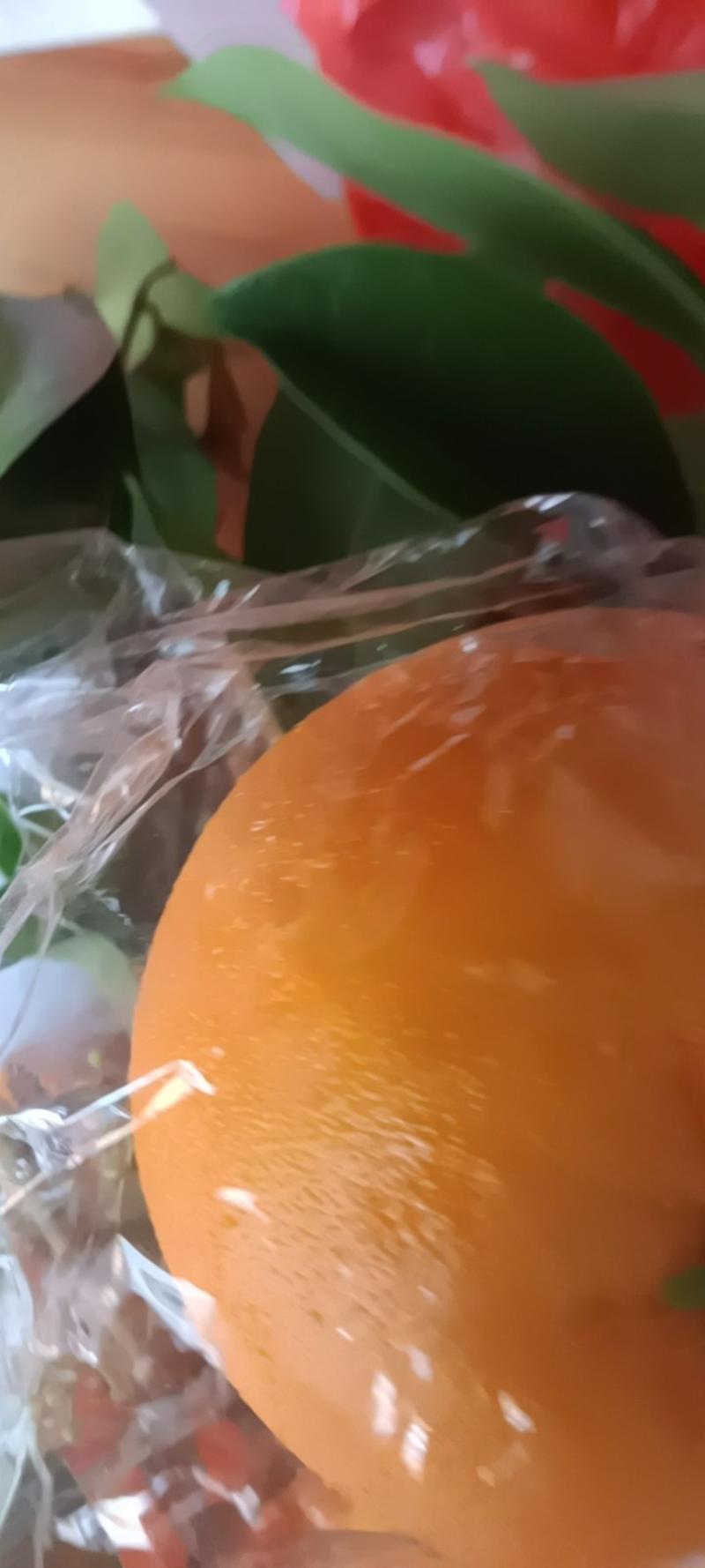 果冻橙来自农民自种的薄皮新鲜，9一10斤为—件包邮。