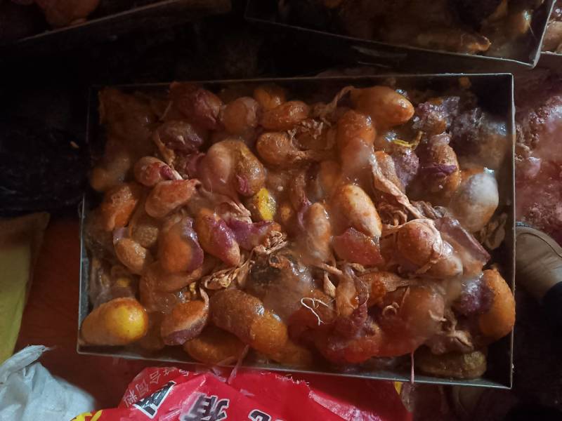 大量出售猪胆，