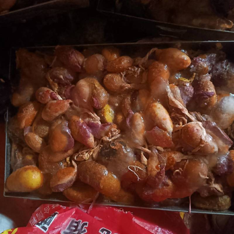 大量出售猪胆，