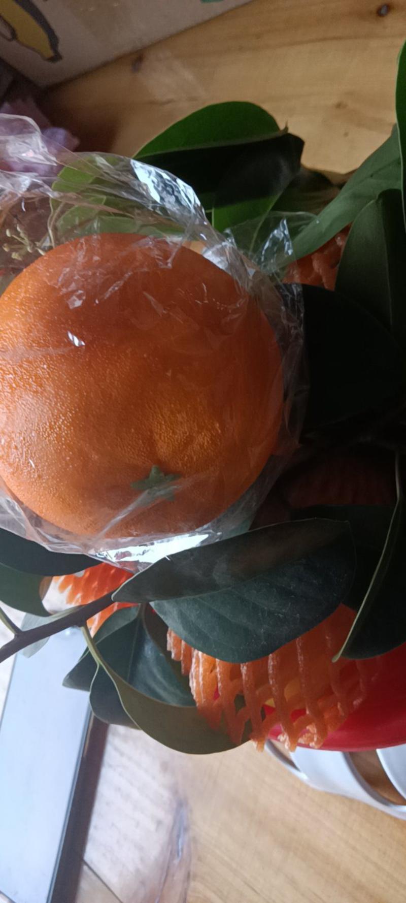 伦晚橙来自农民自种的的现摘现发，9一10斤为—件包邮。