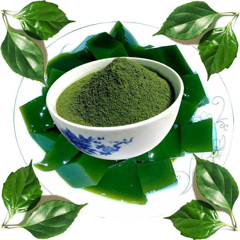 神仙豆腐干粉正宗观音树叶即食绿凉粉专用凉菜野菜新鲜斑鸠叶