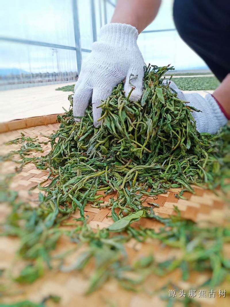 源头那蕉高端纯手工藤条普洱茶