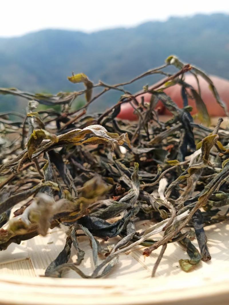 源头那蕉高端纯手工藤条普洱茶