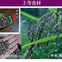 武功山特产紫红米、绿色食品