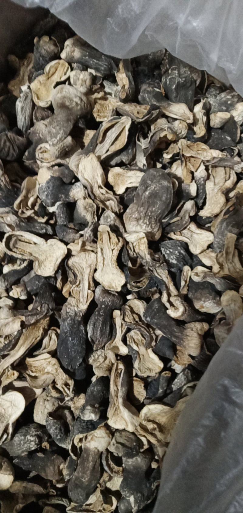 自种的干草菇，质优价廉。一首货源，没有中间商。