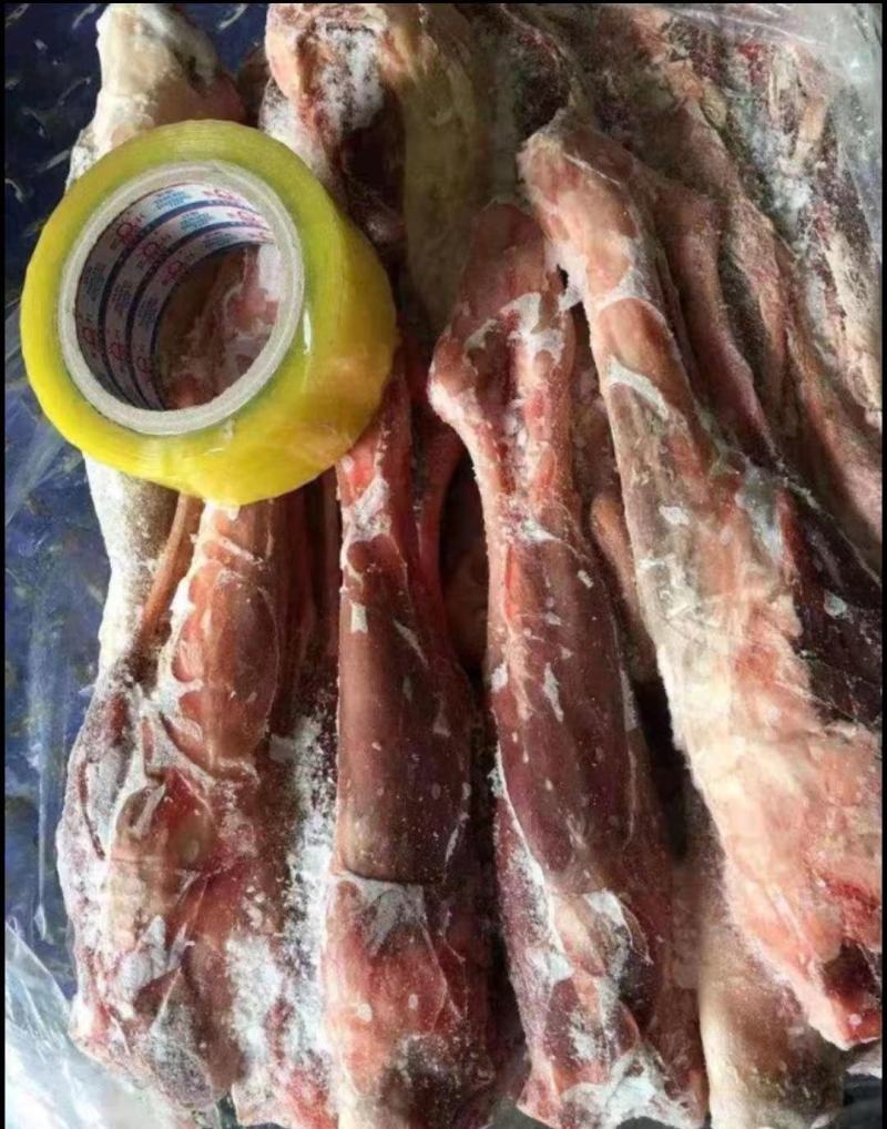 羊前腱内蒙羔羊前棒，品质新鲜，肉多骨小，肉量大实图原拍