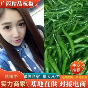 新辣椒杭椒线椒，芜湖尖椒现摘供应批发+电商一件代发