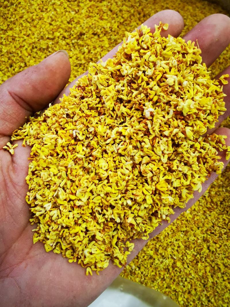 源头厂家桂林食用桂花粉桂花干干桂花花草茶厂家批发