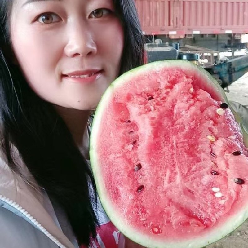 山东潍坊昌乐甜王西瓜大量上市包熟包甜支持全国发货保证质量