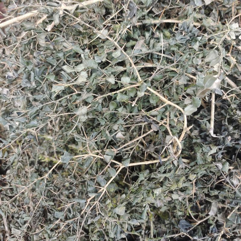 绣花针虎刺伏牛花鸟不宿寿星草云南特产中药材包邮量