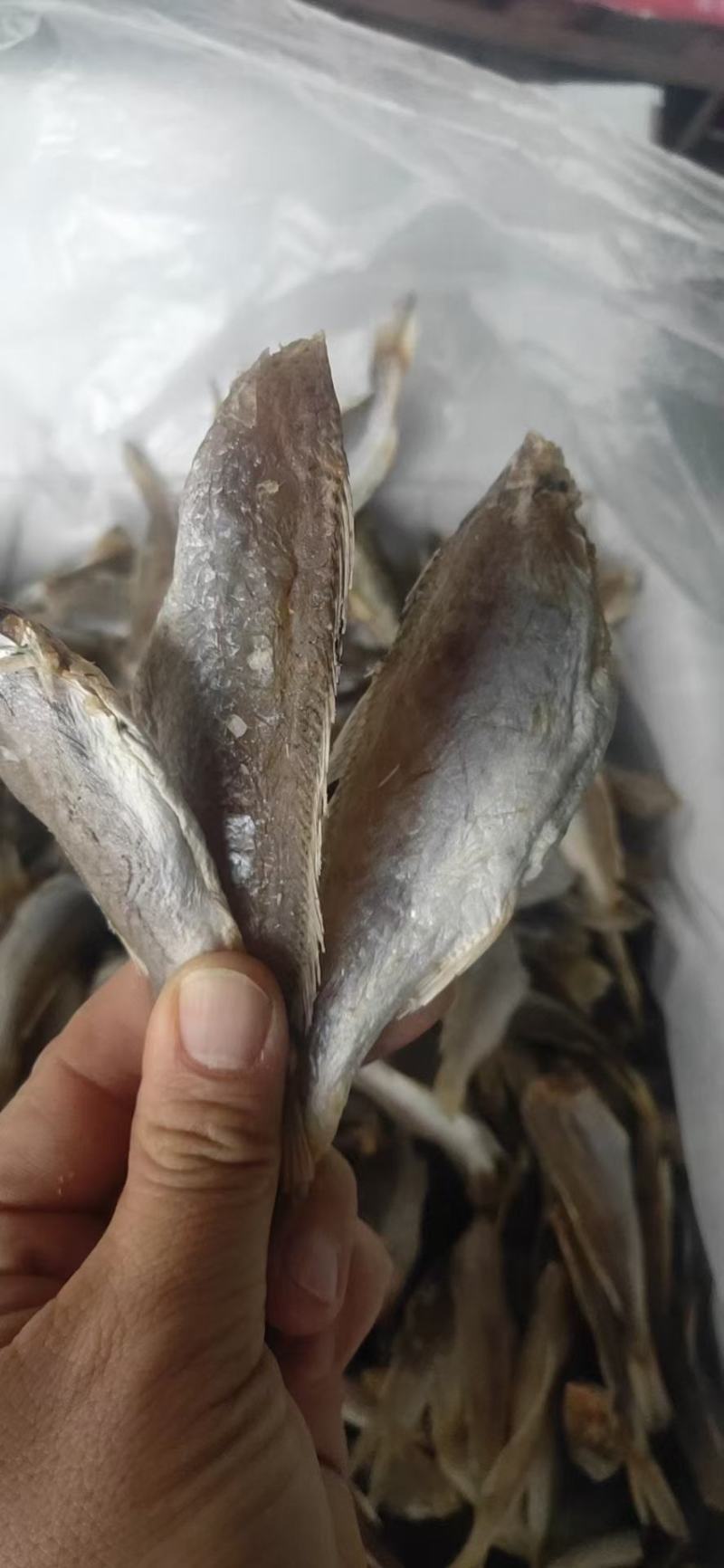 深海黄花鱼干咸干黄鱼干去头去鳞去内脏