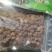 贵州省野生刺梨
