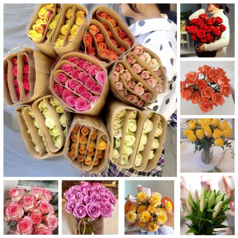 玫瑰鲜切花云南鲜花彩玫批发鲜花批发团购一件代发招代理