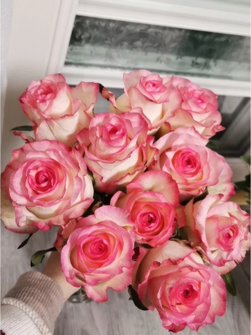 玫瑰鲜切花云南鲜花彩玫批发鲜花批发团购一件代发招代理
