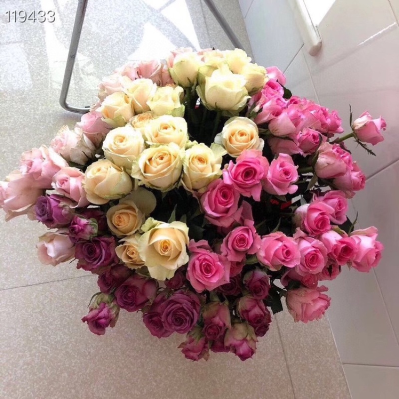 玫瑰鲜切花云南鲜花彩玫批发鲜花批发团购一件代发招代理