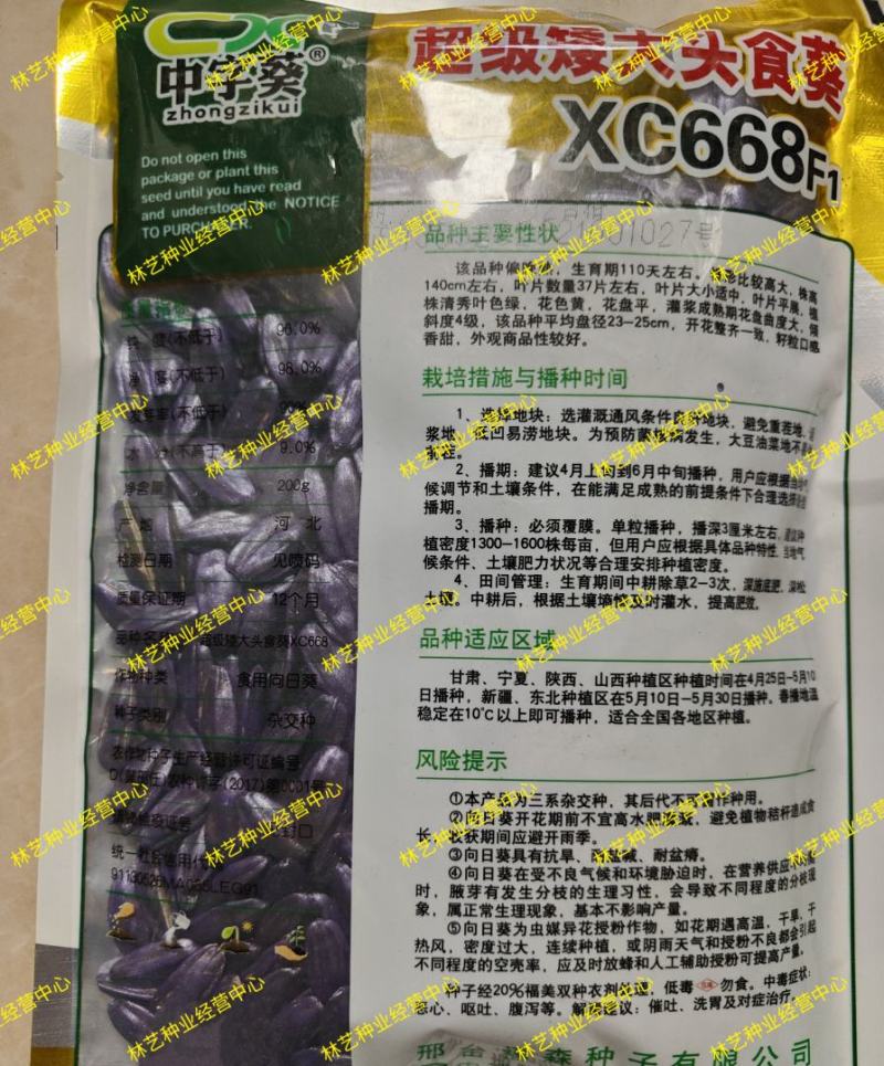 食用大向日葵种子易种高产瓜子种大颗粒型食用向日葵花籽大田