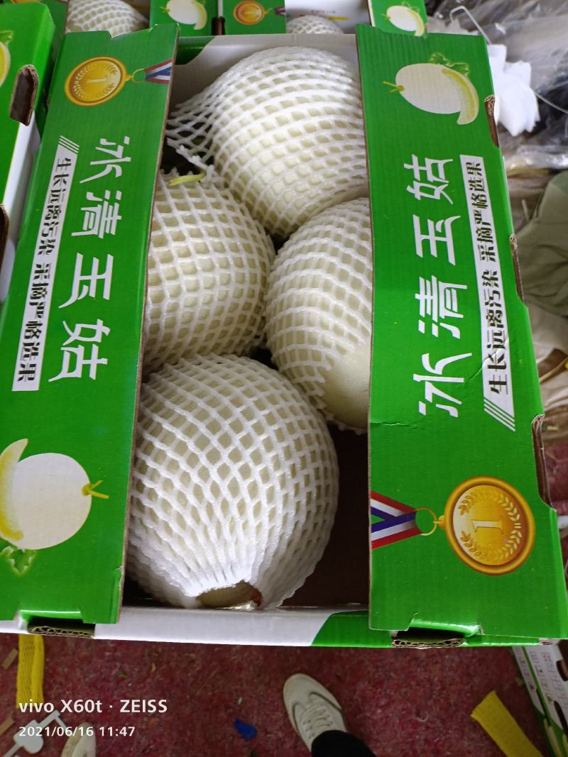 山东莘县，玉菇甜瓜产地，代收，代发，对接电商平台，