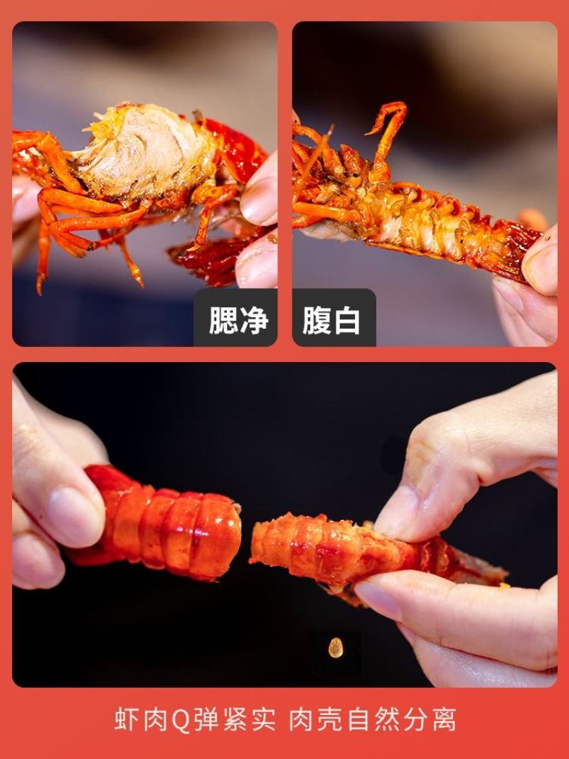 【麻辣小龙虾】麻辣蒜香小龙虾加热即食电商全国发货
