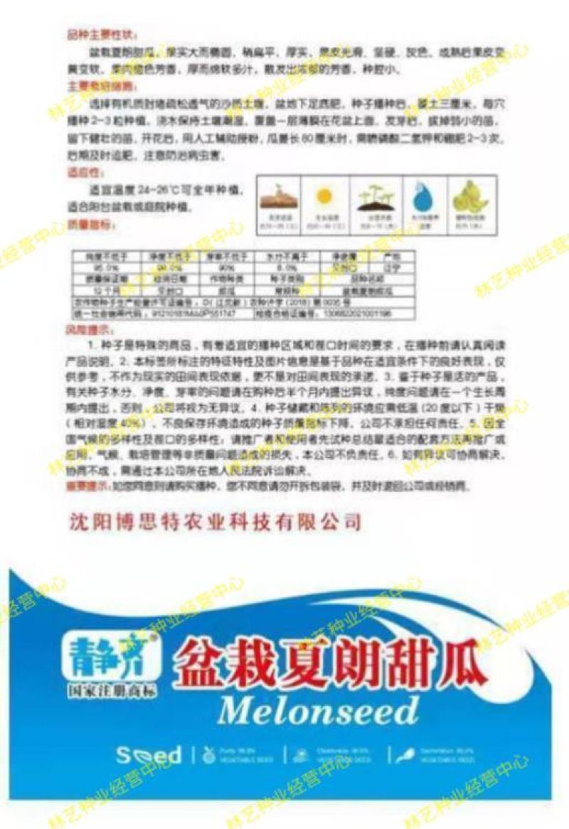 新品甜瓜种子法国夏朗德甜瓜种子进口高产水果种子阳台盆栽