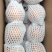 蜜桔四川精品蜜橘无核橘基地直采一手货源支持一件代发