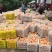 蜜桔四川精品蜜橘无核橘基地直采一手货源支持一件代发