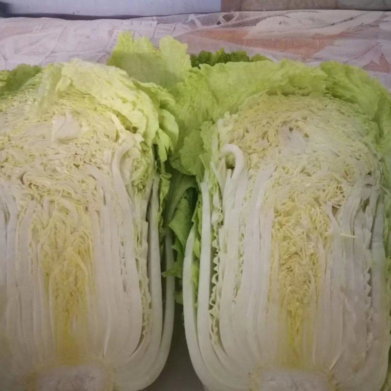 【精品】黄心菜黄心白菜今日价格产地一手货原市场货