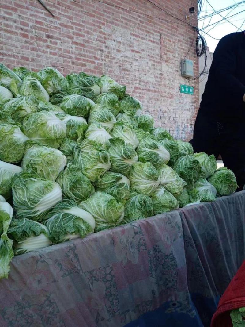 868圆白菜，冷库白菜新乡小包皮绿口感好，数量有限，