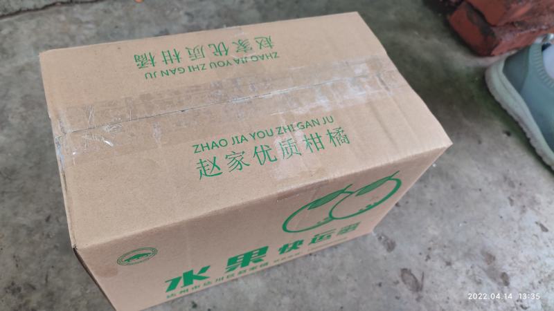 蜜橘无核橘四川达州精品蜜橘子基地直发专车一件代发