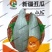 贵族南瓜种子新疆丑瓜新奇特板栗味稀有高产四季大田菜园蔬菜