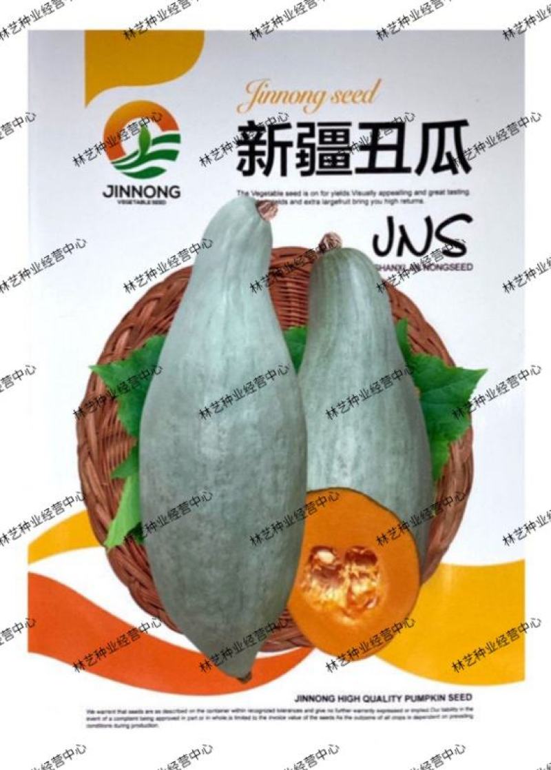 贵族南瓜种子新疆丑瓜新奇特板栗味稀有高产四季大田菜园蔬菜