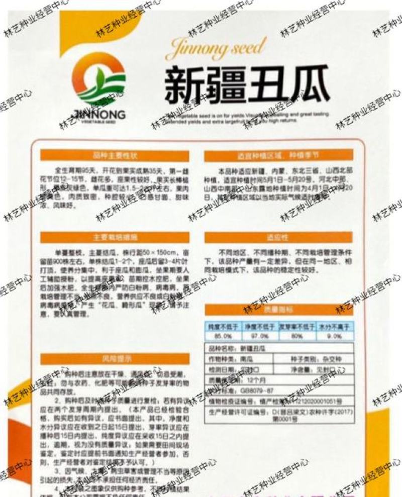 贵族南瓜种子新疆丑瓜新奇特板栗味稀有高产四季大田菜园蔬菜