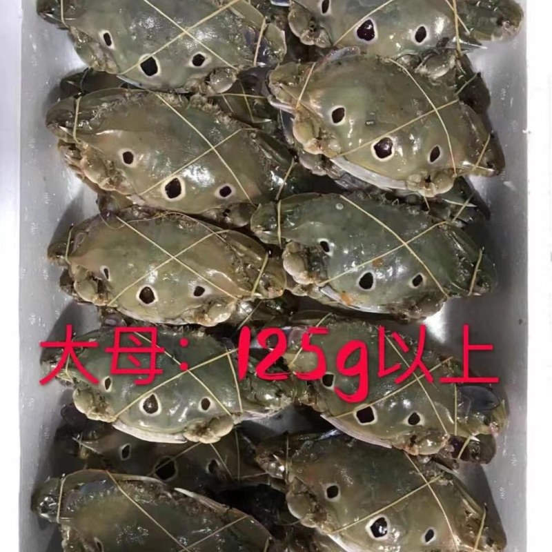 三点蟹