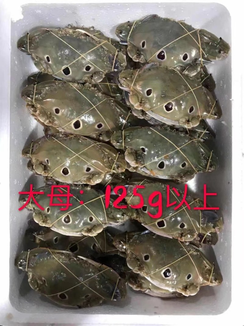 三点蟹