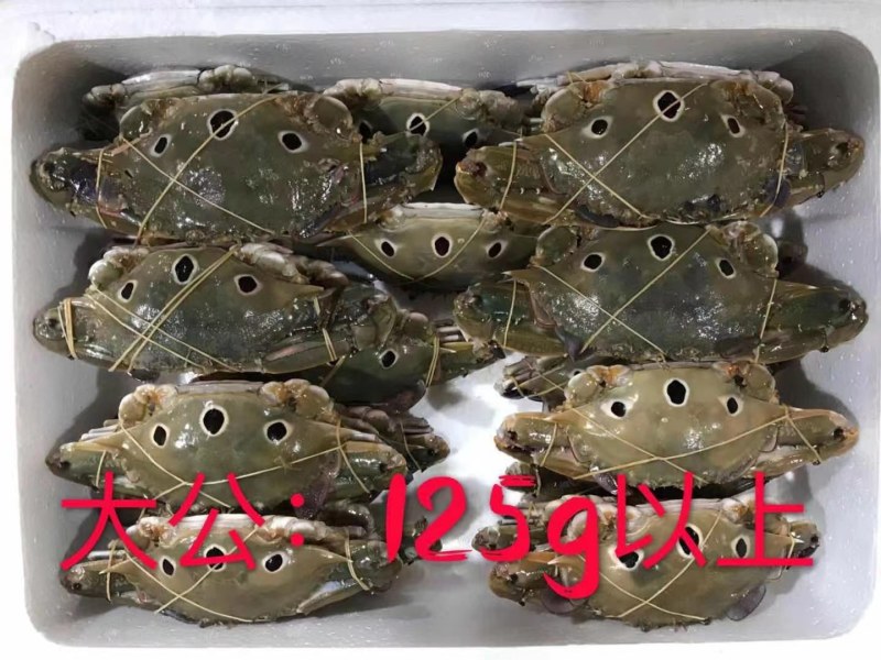 三点蟹