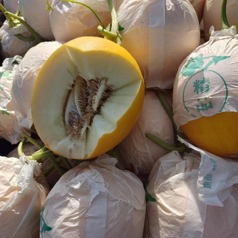 莘县甜瓜精品瑞红甜瓜，大量上市产地直供，货源充足