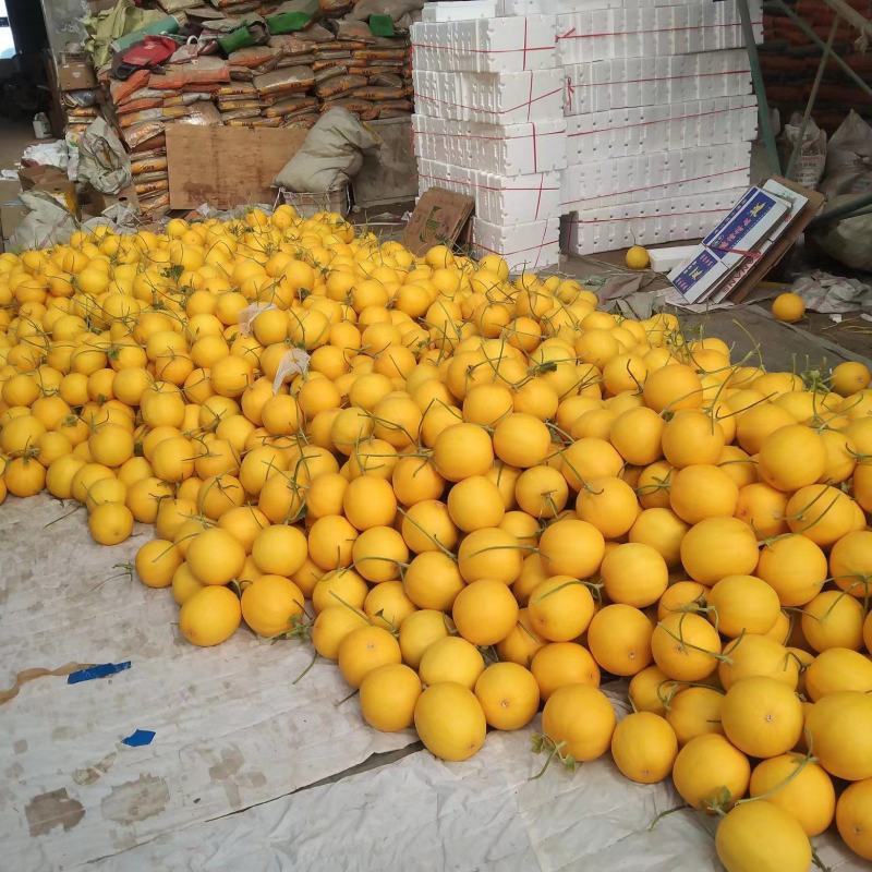 莘县甜瓜精品瑞红甜瓜，大量上市产地直供，货源充足