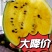 加工果特小凤已疯狂抢占市场，有货就能吃票子，承接大客户对