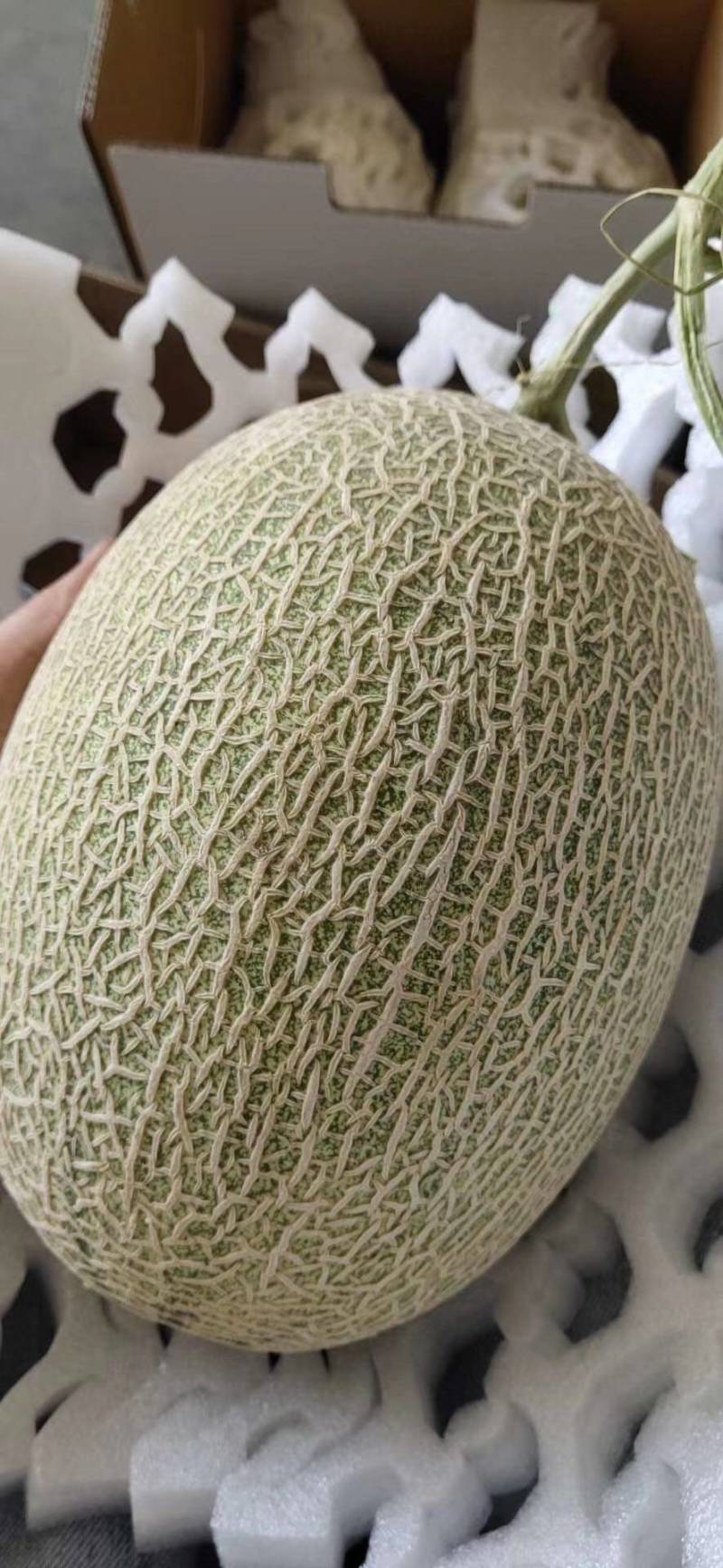 哈蜜瓜，新疆土鲁番地区特产，高温，日照时间长的产物