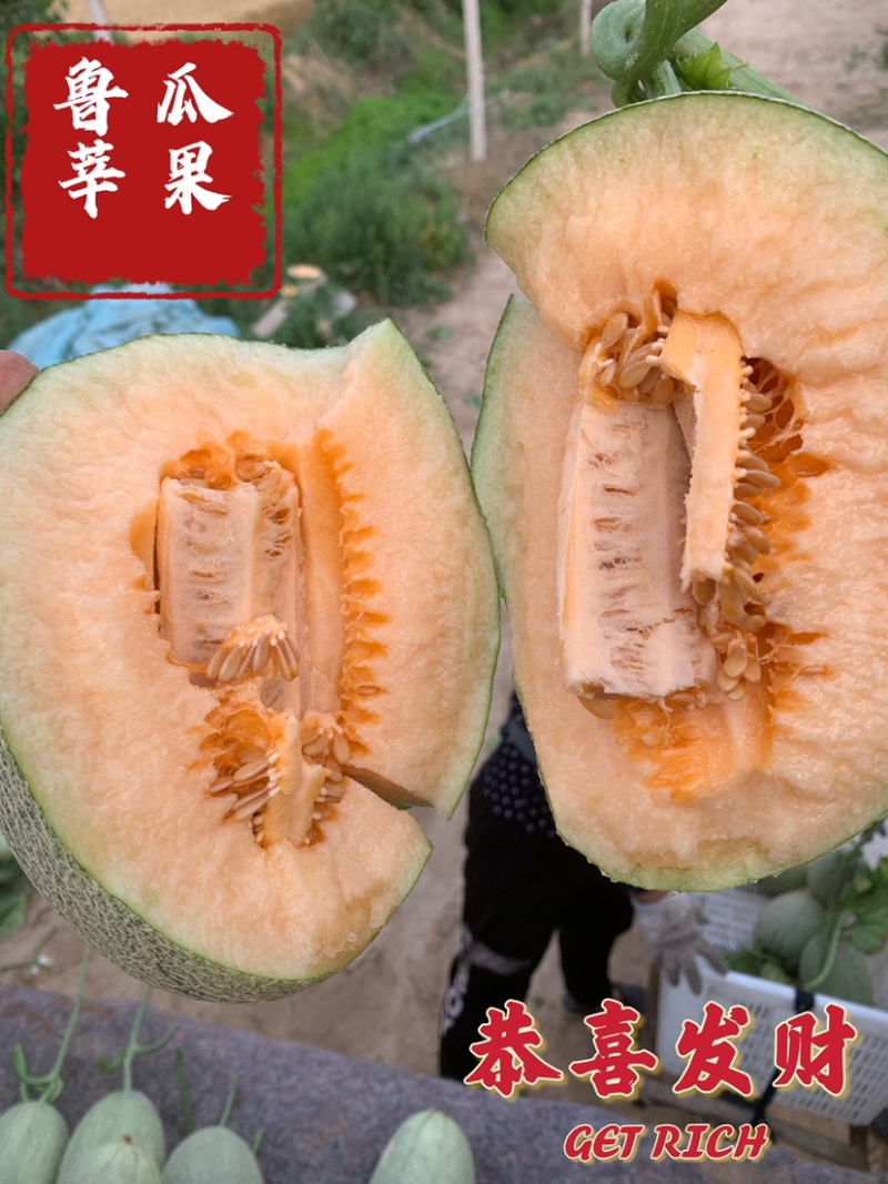【优选】小蜜25号量大供应一手货源对接电商档口超市