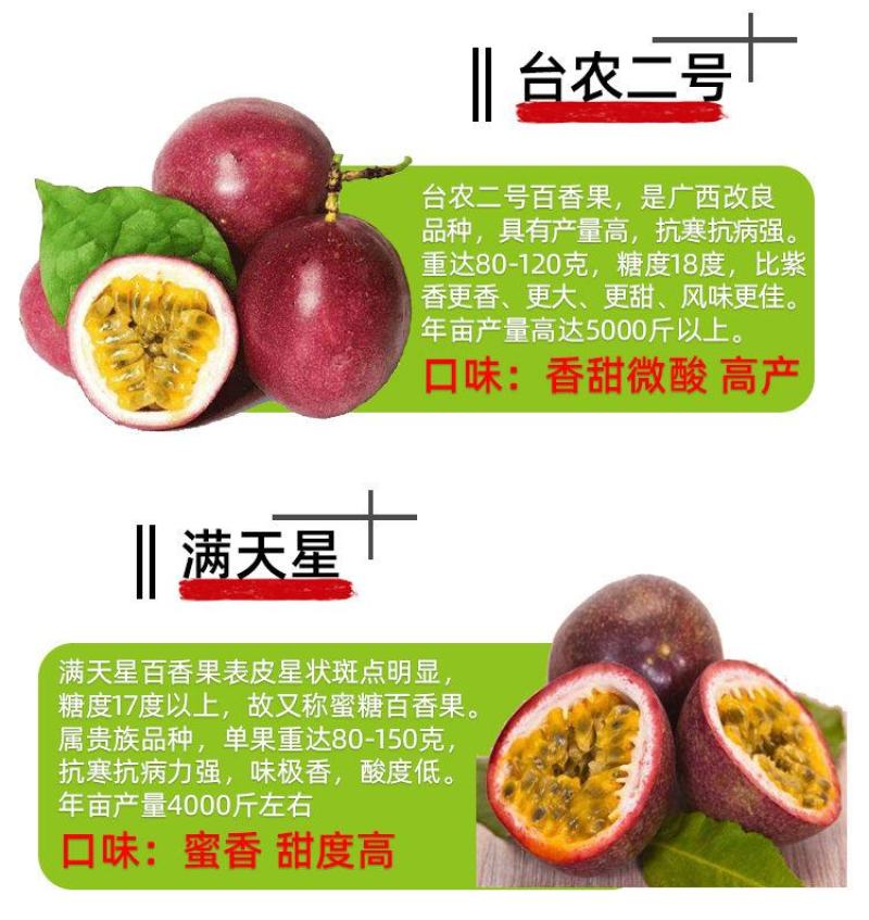黄金百香果苗特大百香果苗当年结果鸡蛋果苗四季爬藤百香果树
