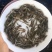 鱼苗