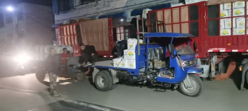 滕州大棚土豆V7沃土荷兰，支持各种规格，各种包装。