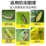 九一时代农药9.1%甲维盐防治吊丝虫蓟马药菜青