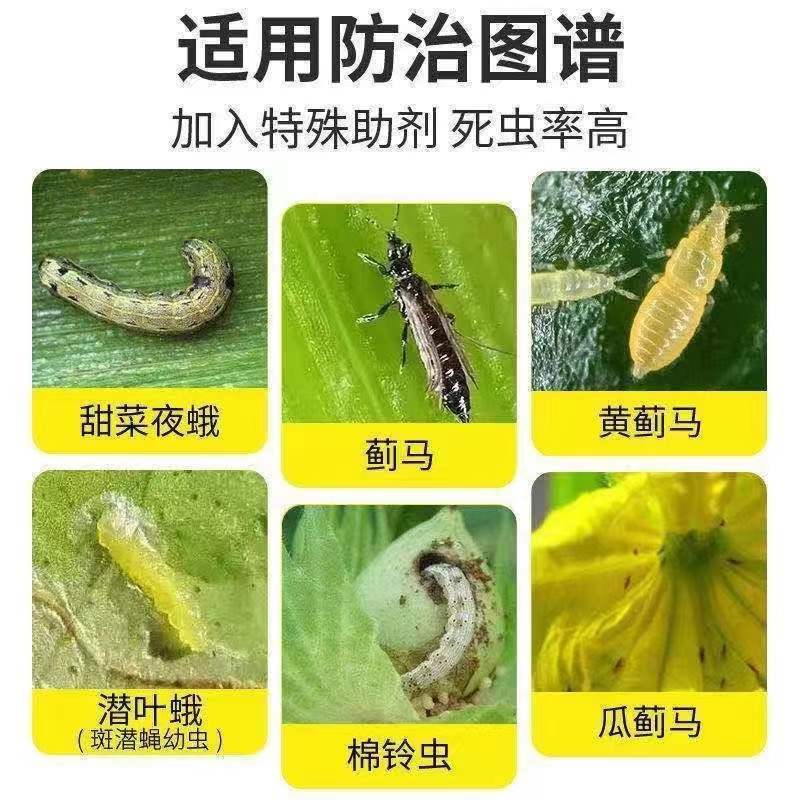 九一时代农药9.1%甲维盐防治吊丝虫蓟马药菜青