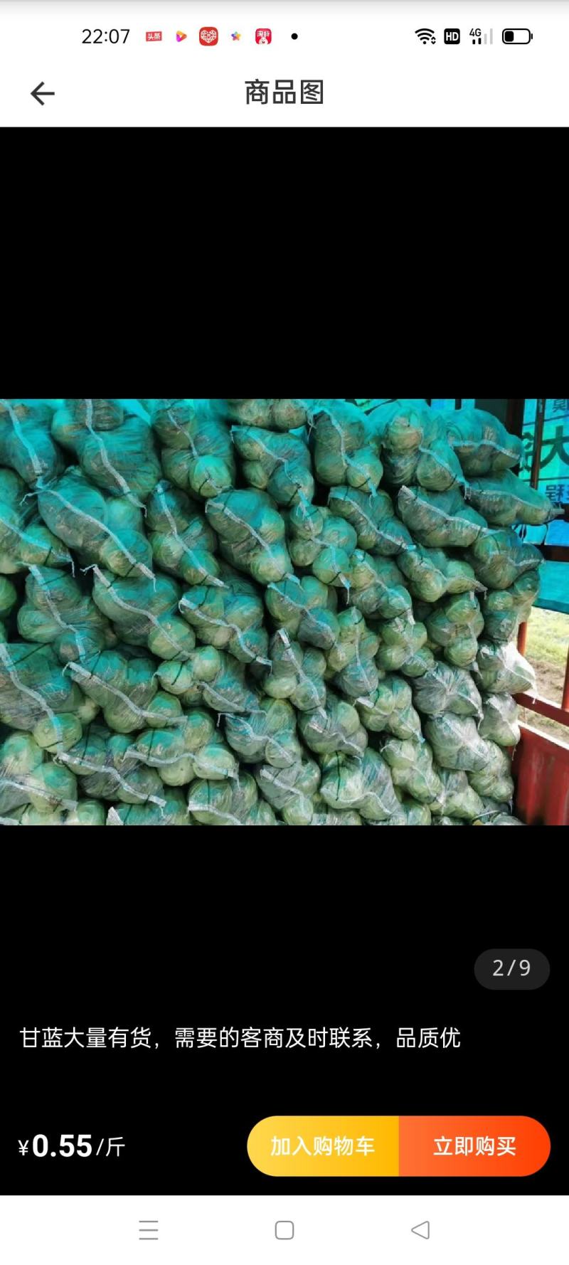 淮阳区。圆包甘蓝，量大质优。价格实惠。欢迎选购。